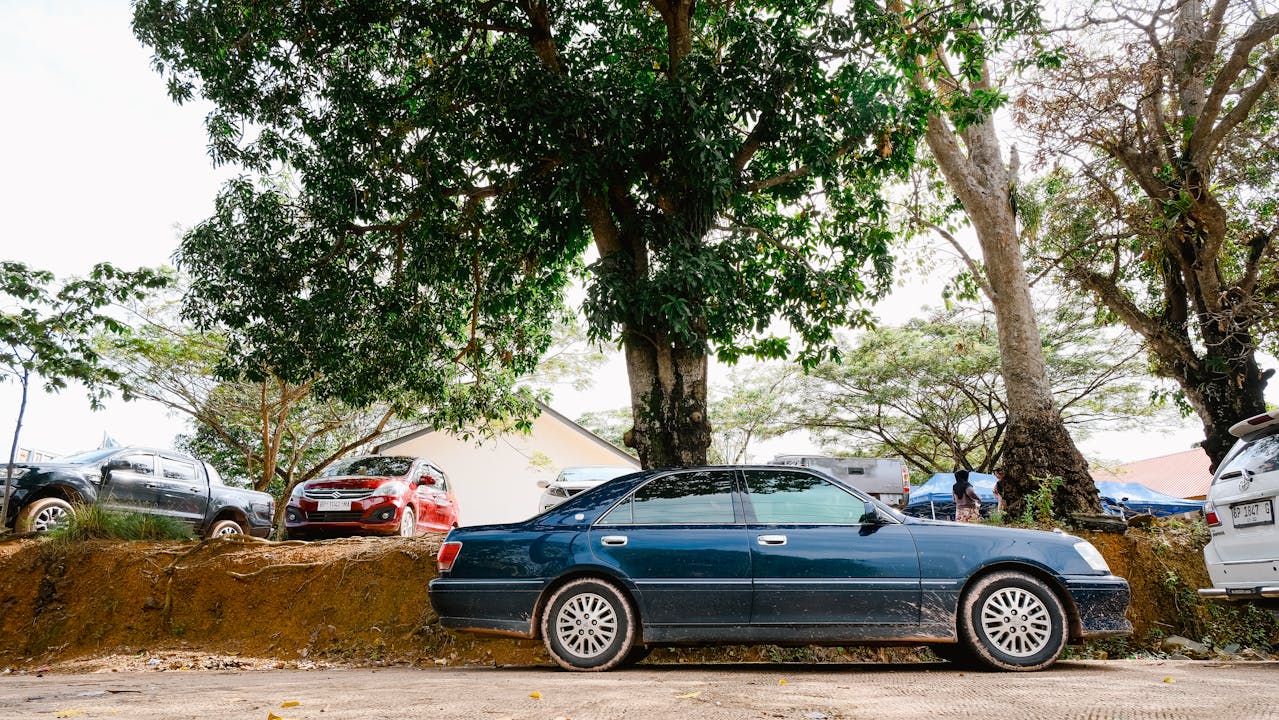 Auto parkiran na ulici pored drveta